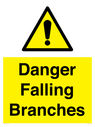 danger-falling-branches~